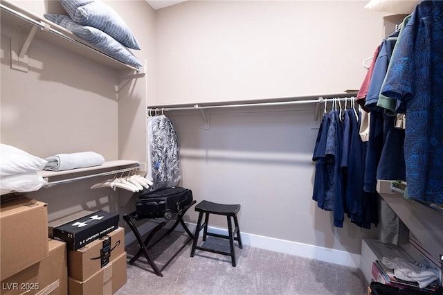 10349 Bressana Dr, Las Vegas, NV 89135 - view of walk in closet