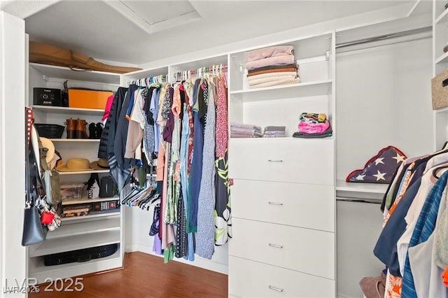 11274 Civita St, Las Vegas, NV 89141 - walk in closet featuring attic access and wood finished floors
