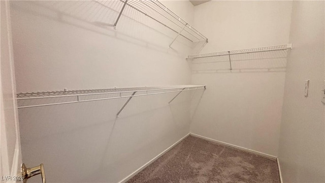 7163 S Durango Dr Unit 113, Las Vegas, NV 89113 - spacious closet with dark carpet