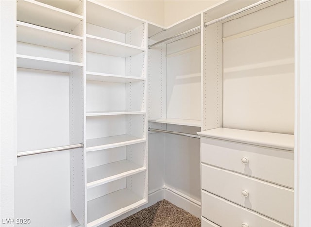 1319 Red Baron Ln, Boulder City, NV 89005 - view of walk in closet