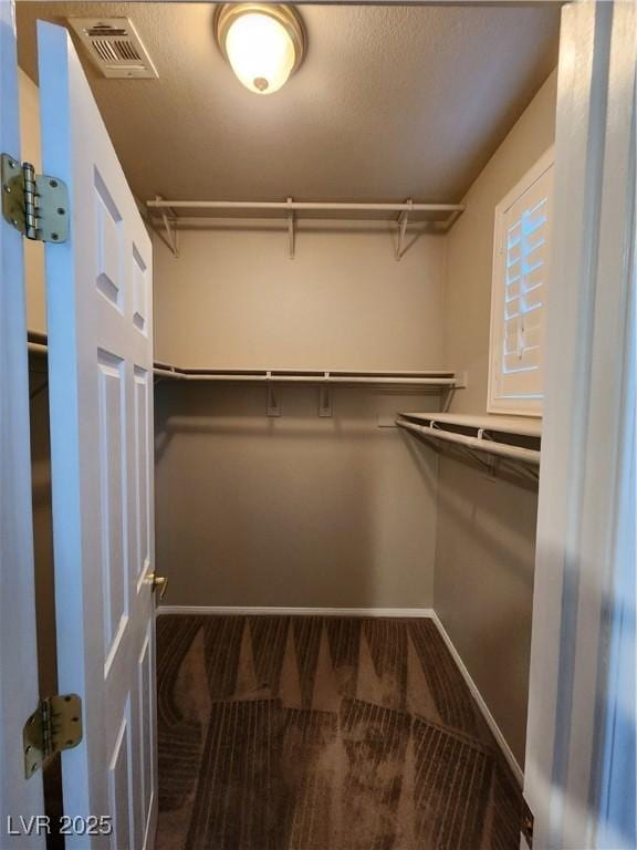 10231 Deerfield Beach Ave Unit 104, Las Vegas, NV 89129 - spacious closet with carpet