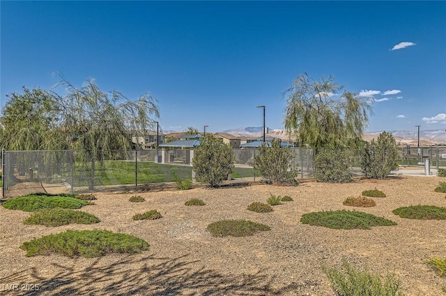 3194 Lumassina Way, Henderson, NV 89044 - view of yard