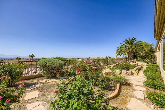 1637 Wellington Springs Ave, Henderson, NV 89052 - view of yard