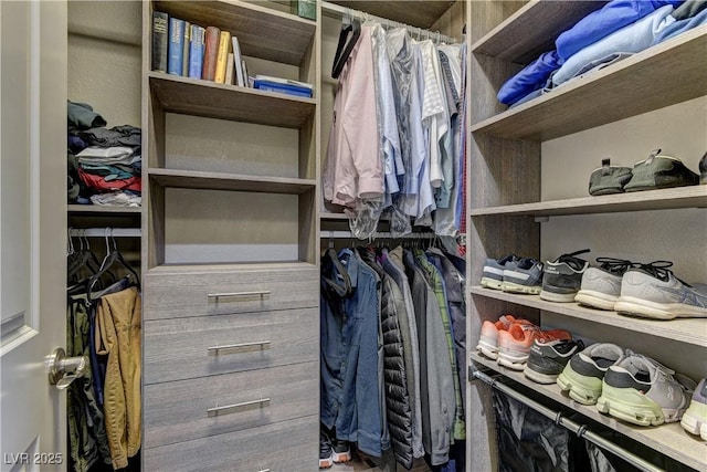 10360 Pescado Ln, Las Vegas, NV 89135 - view of walk in closet