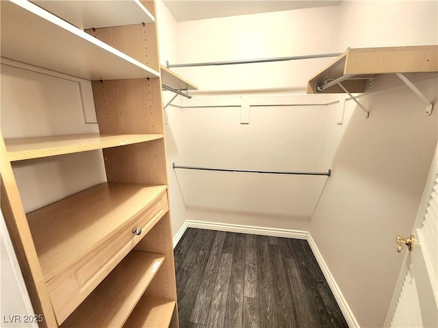 8220 Desert Beach Dr, Las Vegas, NV 89128 - walk in closet with dark wood-style floors