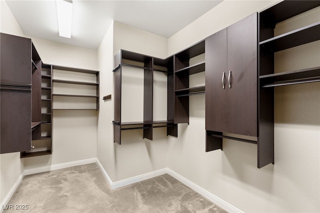 10179 Emerald Sunset Ct, Las Vegas, NV 89148 - spacious closet with carpet