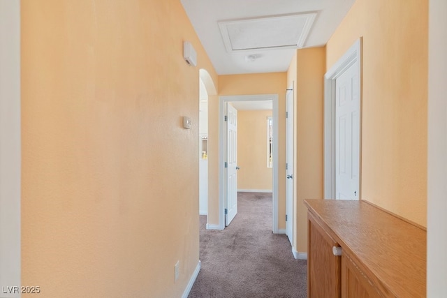 8448 Quarentina Ave, Las Vegas, NV 89149 - hall featuring carpet floors and baseboards
