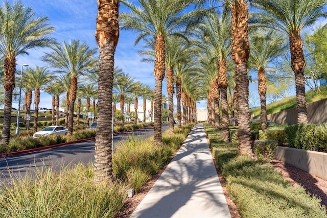 1064 Calvia St, Las Vegas, NV 89138 - surrounding community