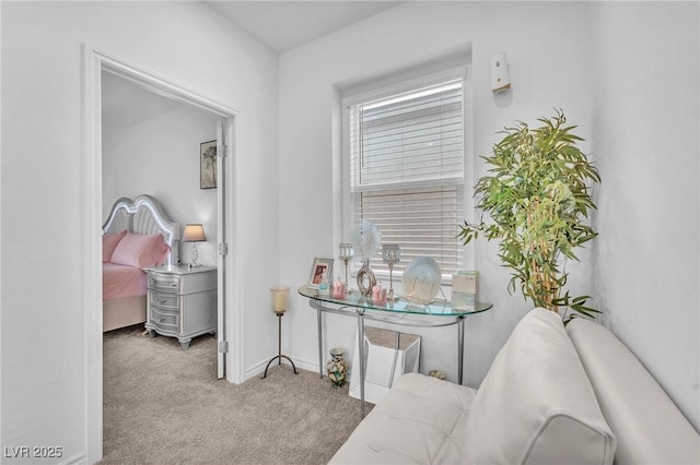 8879 Roadrunner Ravine St, Las Vegas, NV 89166 - photo 21