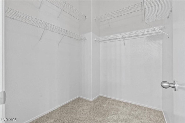 9709 Fast Elk St, Las Vegas, NV 89143 - spacious closet with carpet