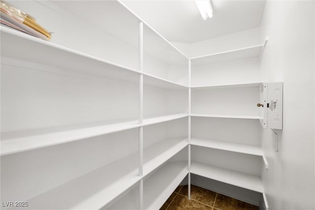 170 Dove St, Pahrump, NV 89060 - view of pantry