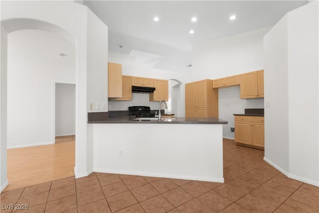 1132 Coral Desert Dr, Las Vegas, NV 89123 - photo 8