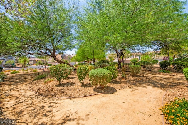 5674 Moccasin Point St, Las Vegas, NV 89148 - view of yard