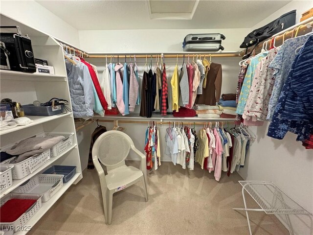 3110 National Ave, Pahrump, NV 89048 - spacious closet with attic access and carpet flooring