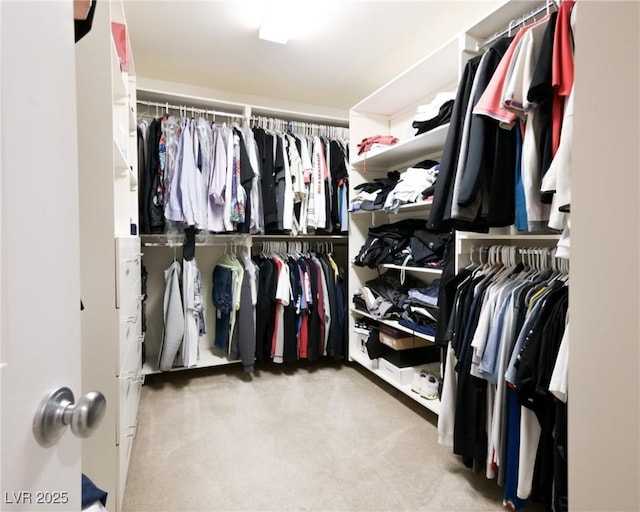 2913 Monate Ct, Henderson, NV 89044 - spacious closet featuring carpet flooring