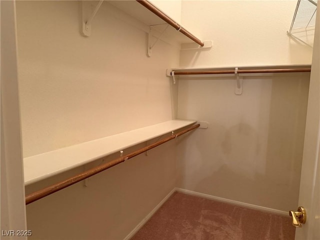 700 Carnegie St Unit 4821, Henderson, NV 89052 - walk in closet featuring carpet floors