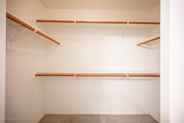 10414 Midseason Mist St, Las Vegas, NV 89183 - walk in closet with carpet