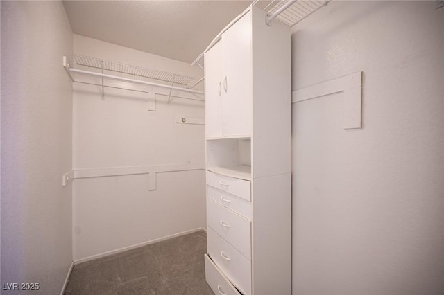 10414 Midseason Mist St, Las Vegas, NV 89183 - walk in closet with dark colored carpet