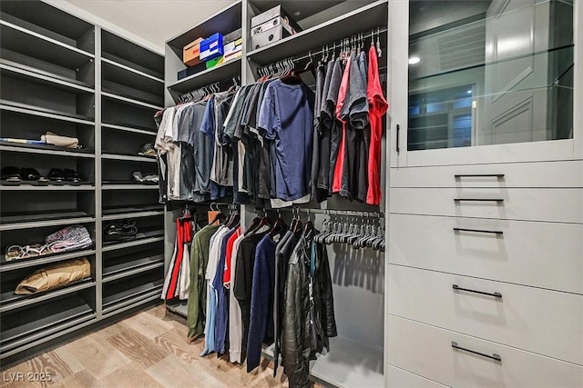 11906 Port Labelle Dr, Las Vegas, NV 89141 - spacious closet with wood finished floors