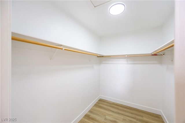 2403 Sexton Ave, North Las Vegas, NV 89031 - spacious closet with light wood-style flooring