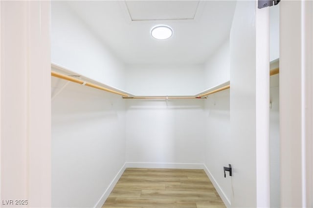 2403 Sexton Ave, North Las Vegas, NV 89031 - walk in closet with wood finished floors and attic access