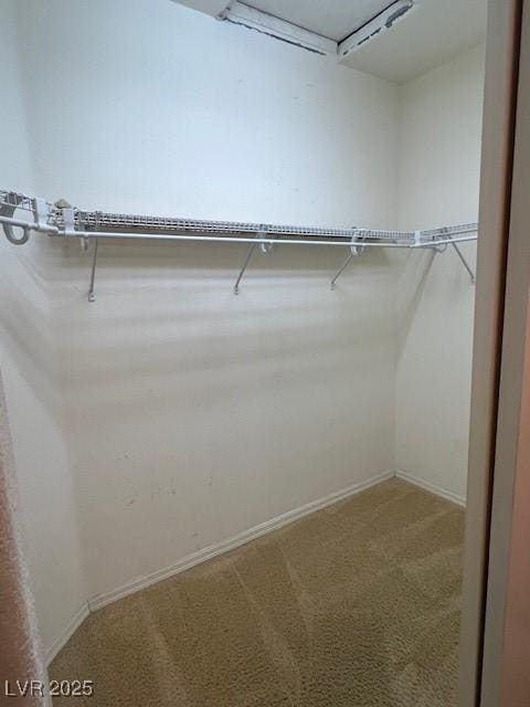 5147 Progresso St, Las Vegas, NV 89135 - walk in closet with carpet