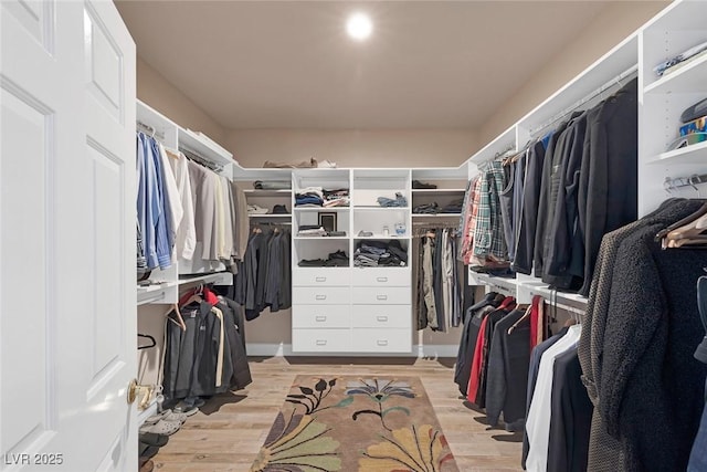 2209 Purple Majesty Ct, Las Vegas, NV 89117 - walk in closet featuring light wood finished floors