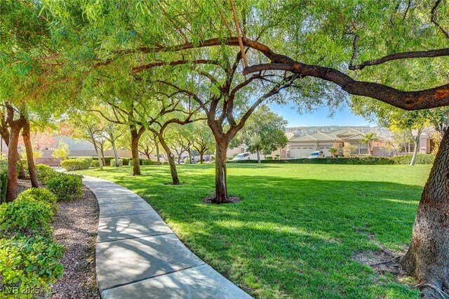 3218 Squire St, Las Vegas, NV 89135 - photo 34