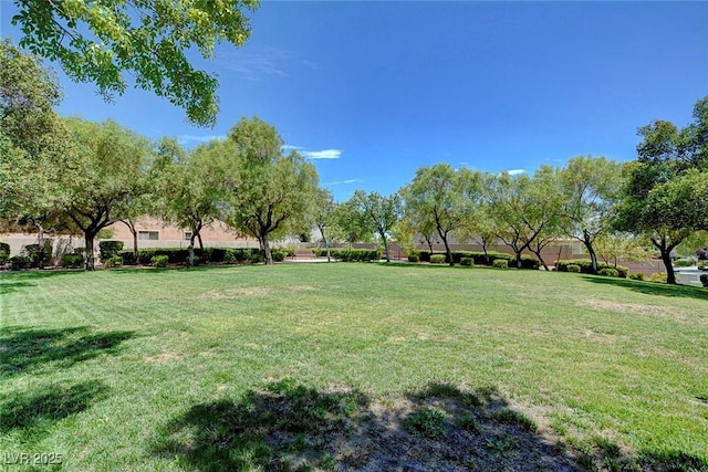 3218 Squire St, Las Vegas, NV 89135 - photo 35