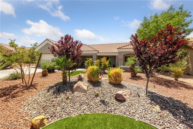 2509 Big Timber Dr, Las Vegas, NV 89134 - photo 36