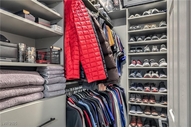 7472 Garnet Moon St, North Las Vegas, NV 89084 - view of spacious closet