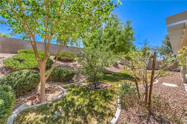 7253 Alsop Ct, Las Vegas, NV 89156 - photo 34