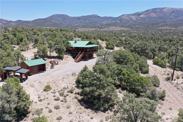 8075 Mount Wilson Ranch Rd, Pioche, NV 89043 - photo 3