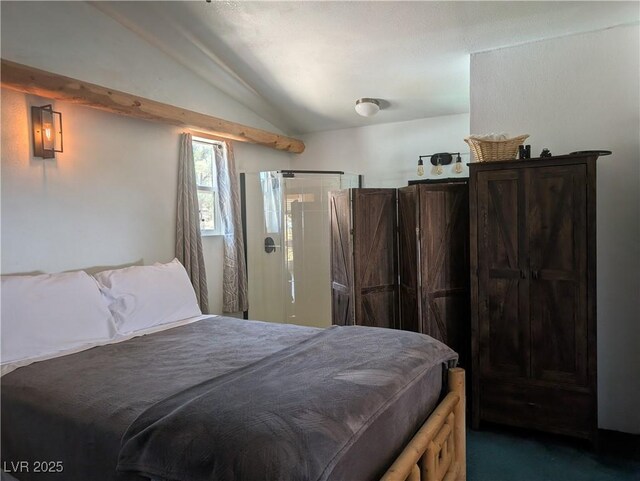 8075 Mount Wilson Ranch Rd, Pioche, NV 89043 - photo 35