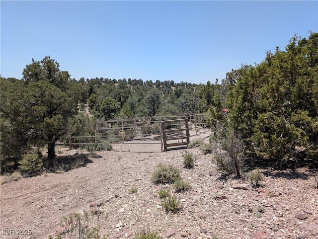 8075 Mount Wilson Ranch Rd, Pioche, NV 89043 - photo 6