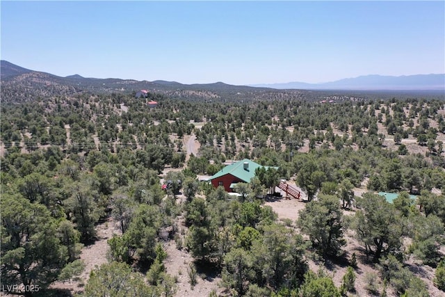 8075 Mount Wilson Ranch Rd, Pioche, NV 89043 - photo 7