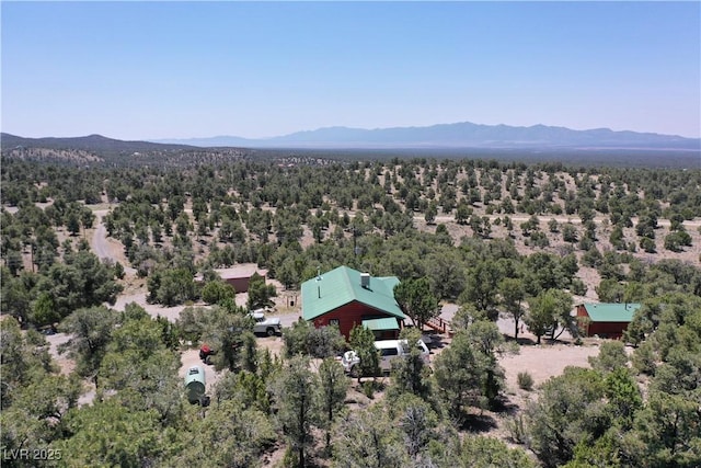 8075 Mount Wilson Ranch Rd, Pioche, NV 89043 - photo 8