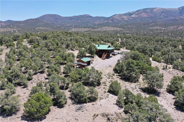 8075 Mount Wilson Ranch Rd, Pioche, NV 89043 - photo 9