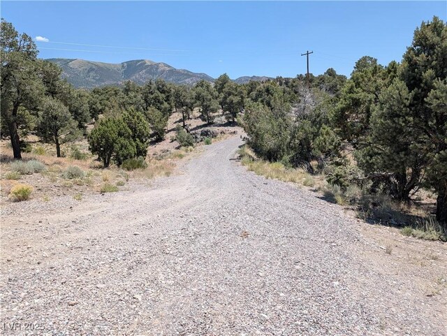 8075 Mount Wilson Ranch Rd, Pioche, NV 89043 - photo 10