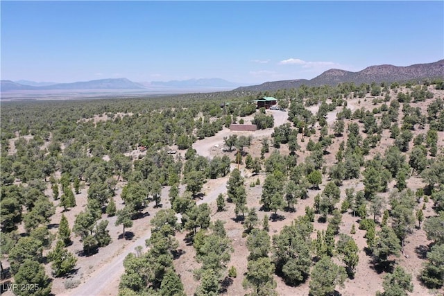 8075 Mount Wilson Ranch Rd, Pioche, NV 89043 - photo 11