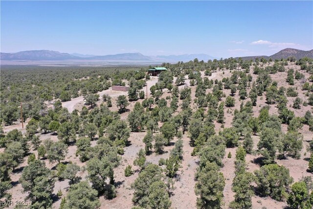 8075 Mount Wilson Ranch Rd, Pioche, NV 89043 - photo 12