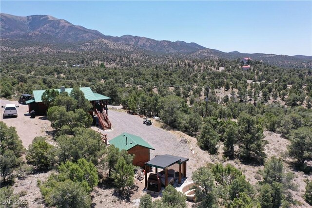 8075 Mount Wilson Ranch Rd, Pioche, NV 89043 - photo 13
