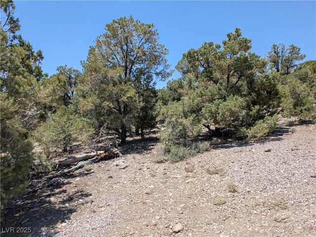 8075 Mount Wilson Ranch Rd, Pioche, NV 89043 - photo 38