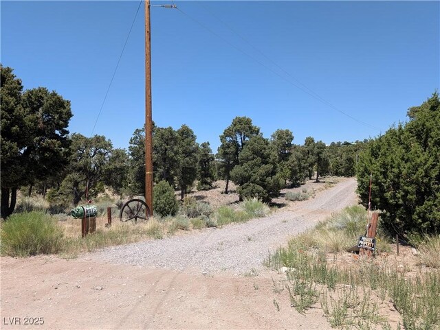 8075 Mount Wilson Ranch Rd, Pioche, NV 89043 - photo 40