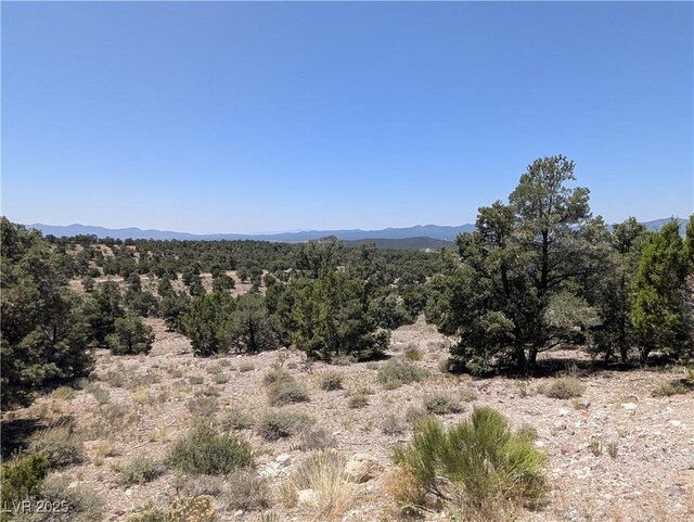 8075 Mount Wilson Ranch Rd, Pioche, NV 89043 - photo 43
