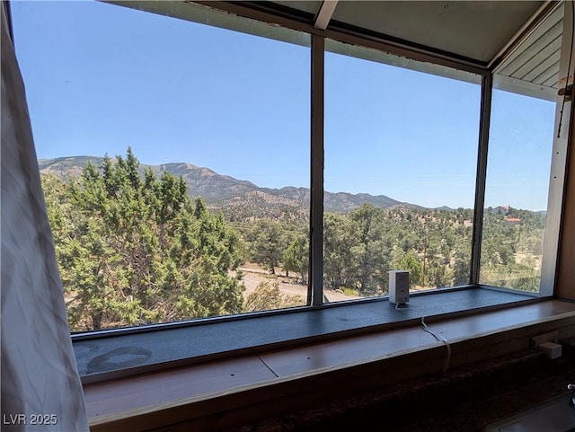 8075 Mount Wilson Ranch Rd, Pioche, NV 89043 - photo 44