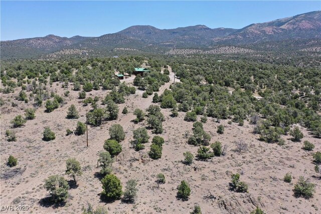 8075 Mount Wilson Ranch Rd, Pioche, NV 89043 - photo 14