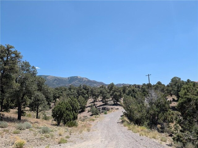 8075 Mount Wilson Ranch Rd, Pioche, NV 89043 - photo 15