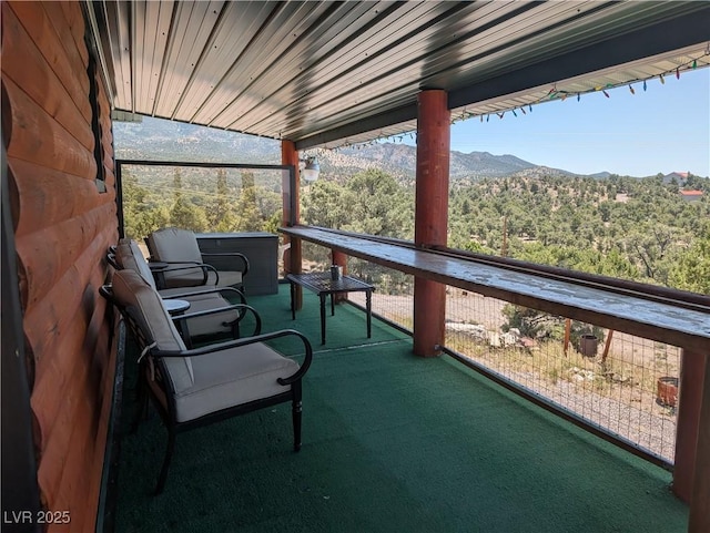 8075 Mount Wilson Ranch Rd, Pioche, NV 89043 - photo 20
