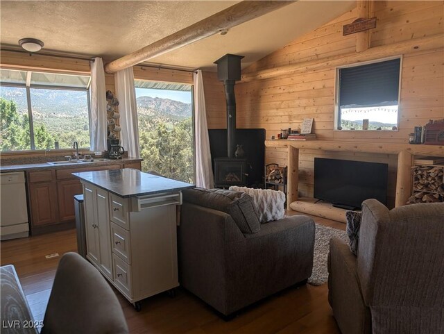 8075 Mount Wilson Ranch Rd, Pioche, NV 89043 - photo 23